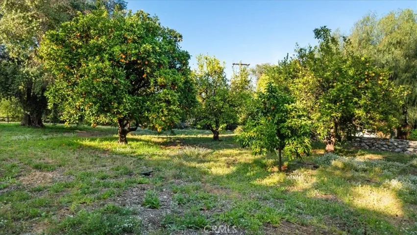 2304 Rosedale Curve, Upland, California 91784