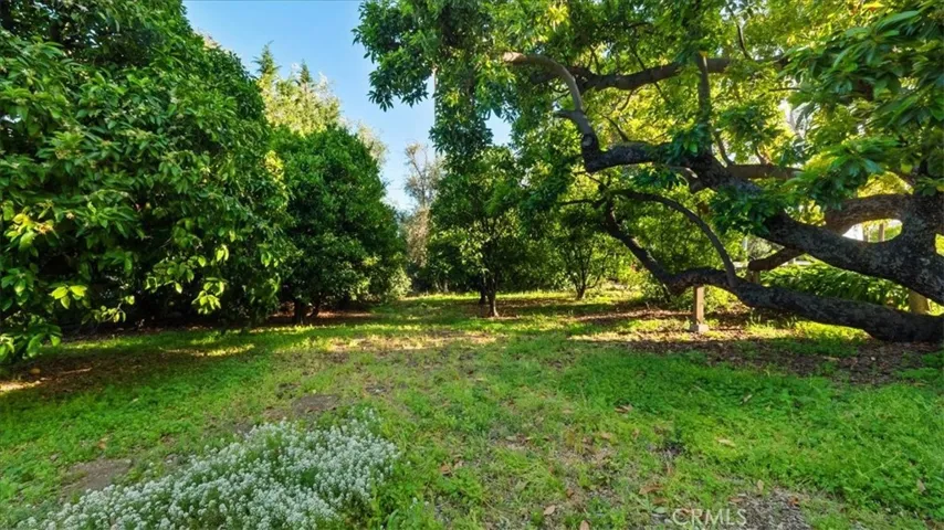 2304 Rosedale Curve, Upland, California 91784
