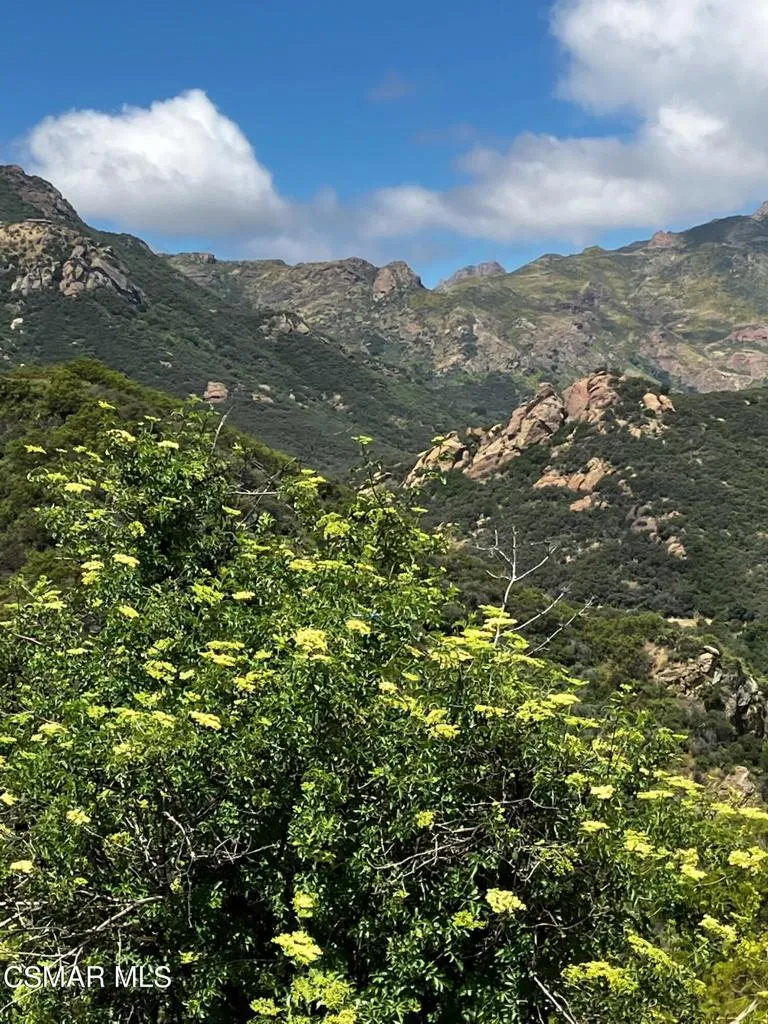 102 W Carlisle Road, Thousand Oaks, California 91361 home-pic-36