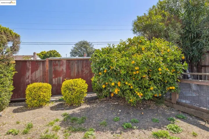 1608 Lanier Ave, San Leandro, California 94579