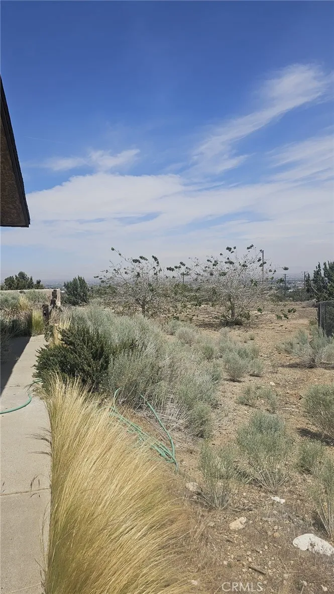 2910 Silver Ridge Drive, Pinon Hills, California 92372 home-pic-8