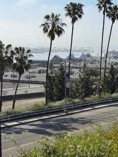 221 W 10th Street, San Pedro, California 90731 home-pic-3