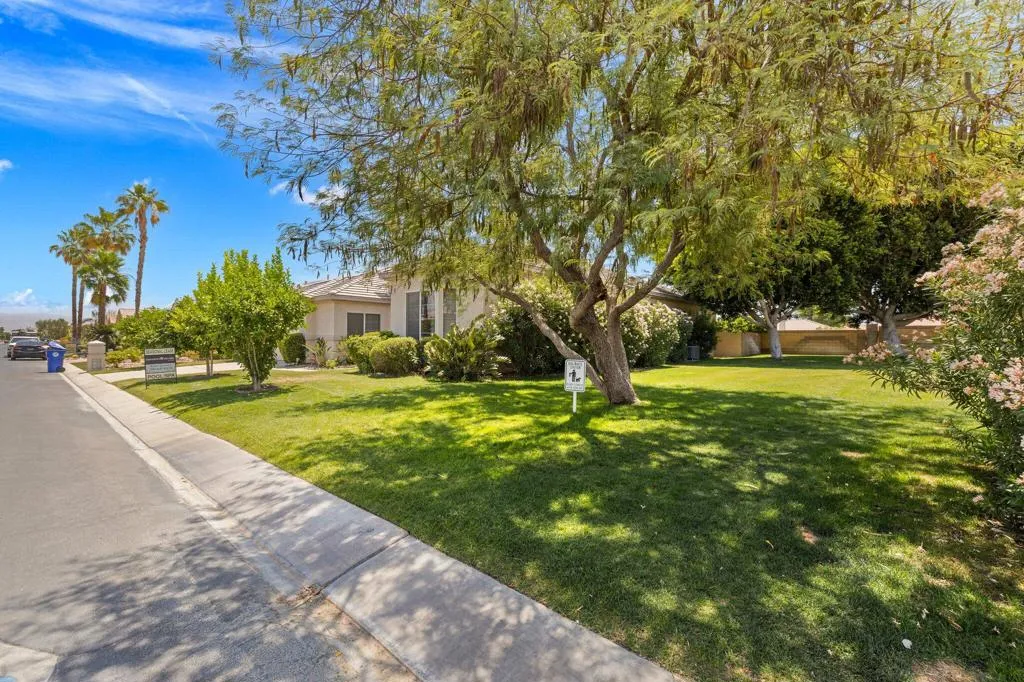 3-web-or-mls-2H8A8630