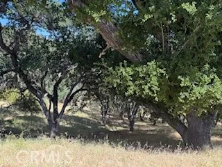 2172 Ridge Rider Road, Lake Nacimiento, California 93426