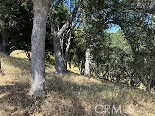 2172 Ridge Rider Road, Lake Nacimiento, California 93426