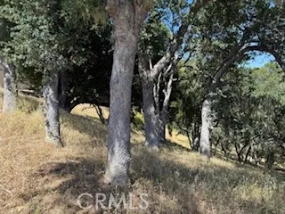 2172 Ridge Rider Road, Lake Nacimiento, California 93426