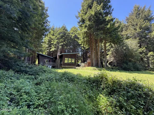 Cabin