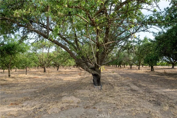 5702 Highway 145, Madera, California 93637