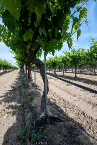 5702 Highway 145, Madera, California 93637