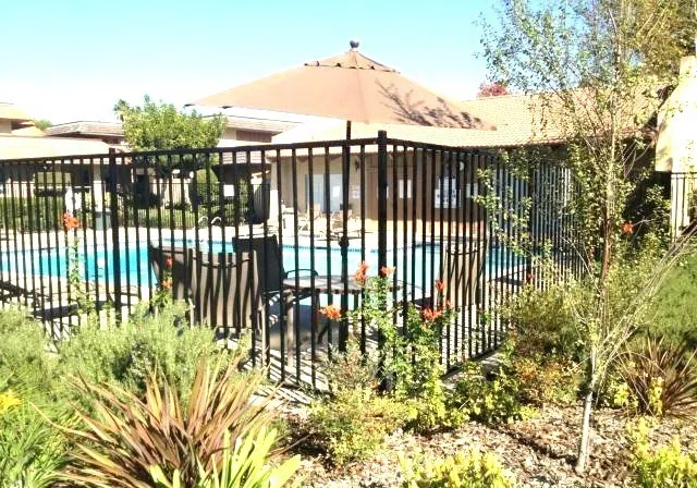 Another view of the Swimming Pool