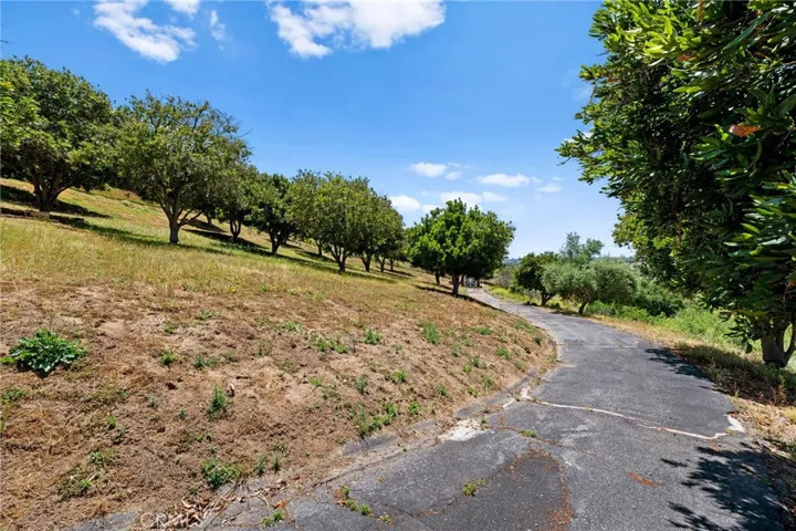 3520 Canonita Drive, Fallbrook, California 92028