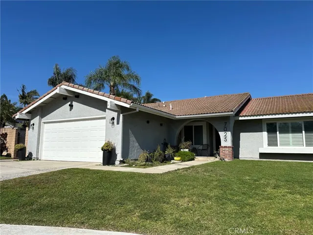 Front Yard