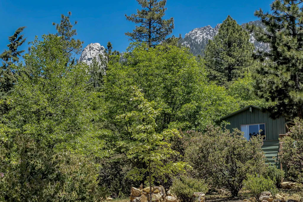 25465 Seneca Drive, Idyllwild, California 92549 home-pic-48