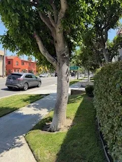 2208 N Broadway 33, Santa Ana, California 92706