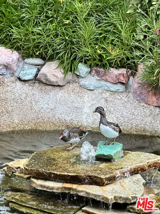 2841 Montcalm Avenue, Los Angeles, California 90046 home-pic-47