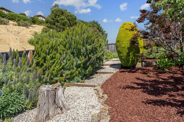 1243 Homewood Avenue, San Mateo, California 94403