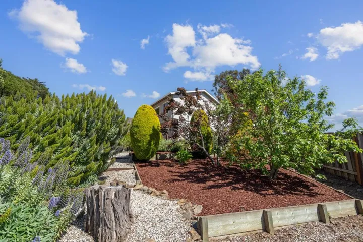 1243 Homewood Avenue, San Mateo, California 94403