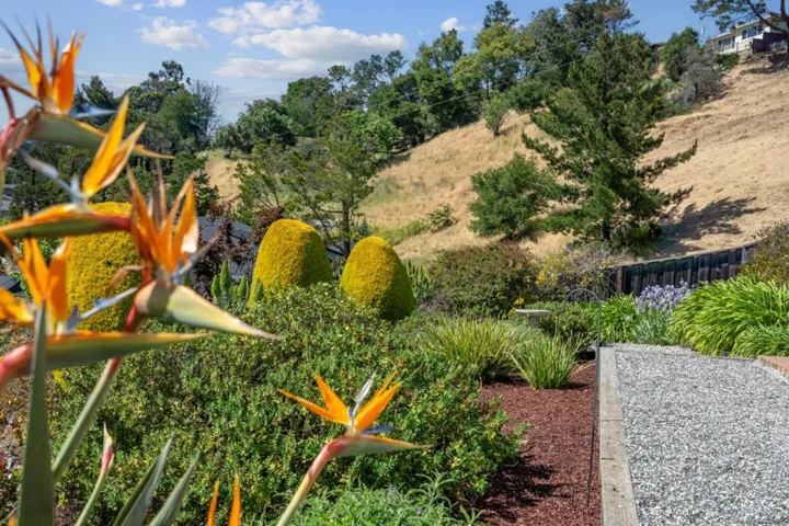 1243 Homewood Avenue, San Mateo, California 94403