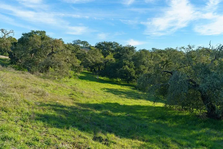 518 Bella Terra Court, San Luis Obispo, California 93401