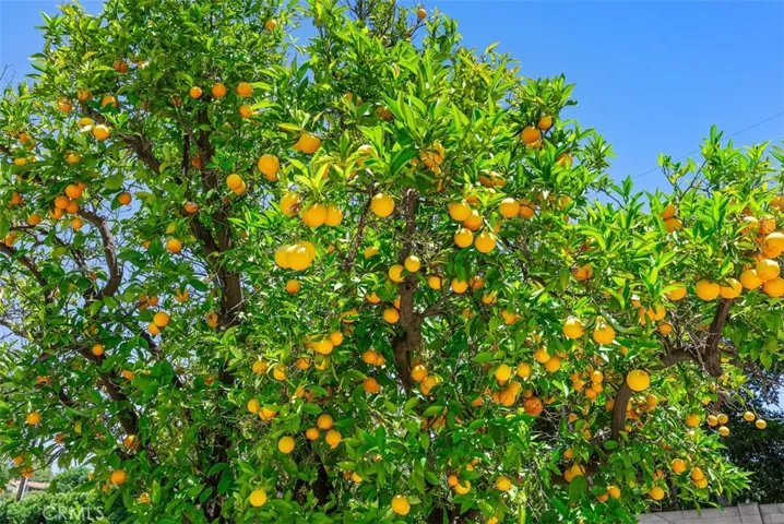 9612 Christine Circle, Villa Park, California 92861