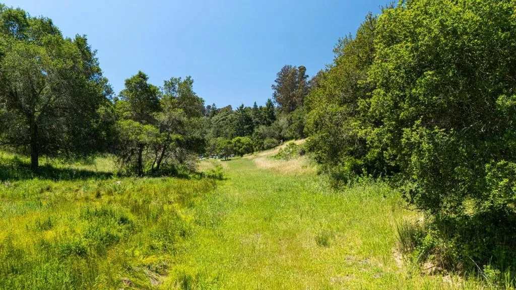 3554 Paul Sweet Road, Santa Cruz, California 95065 home-pic-16