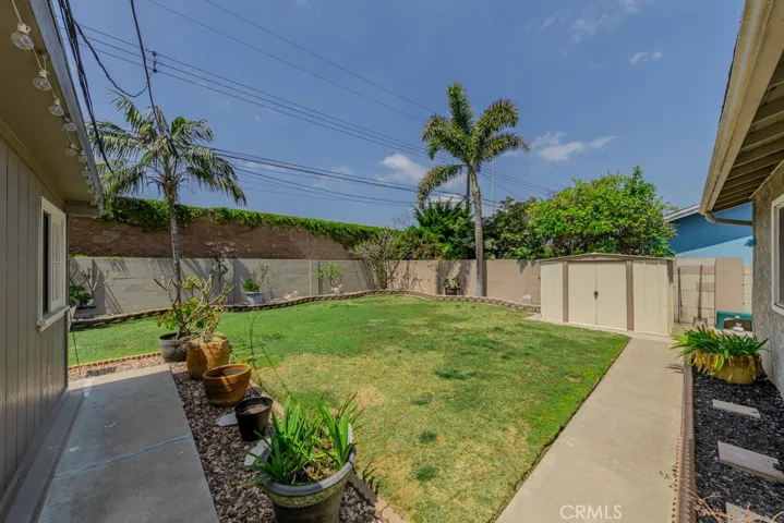 View of the backyard