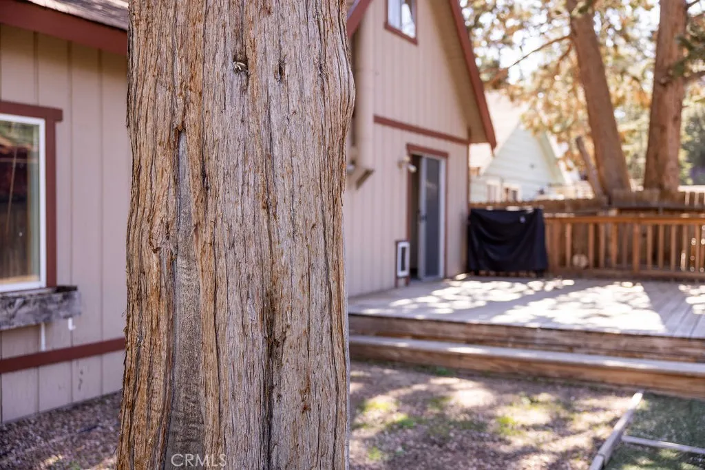 817 E Mountain View Boulevard, Big Bear City, California 92314 home-pic-30