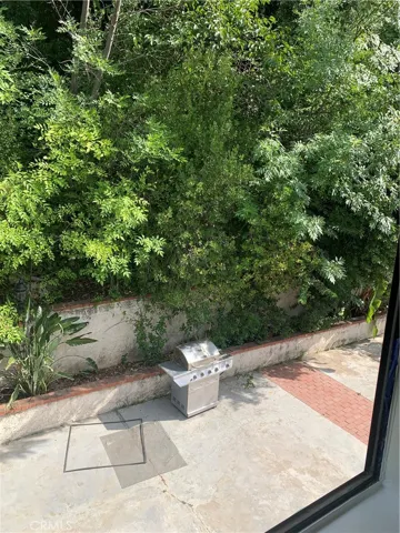 Entrance window and eye spy glass