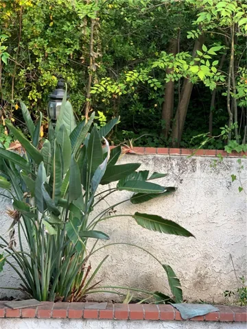 Secluded and beautiful planters