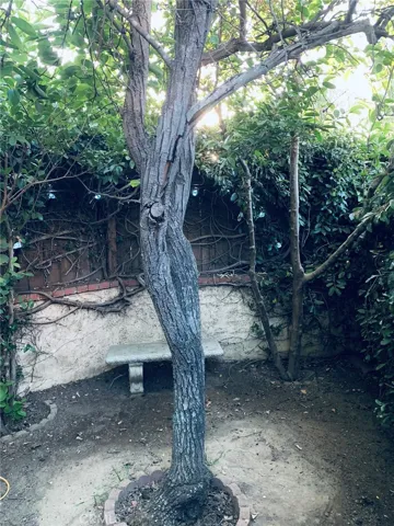 Bench in garden