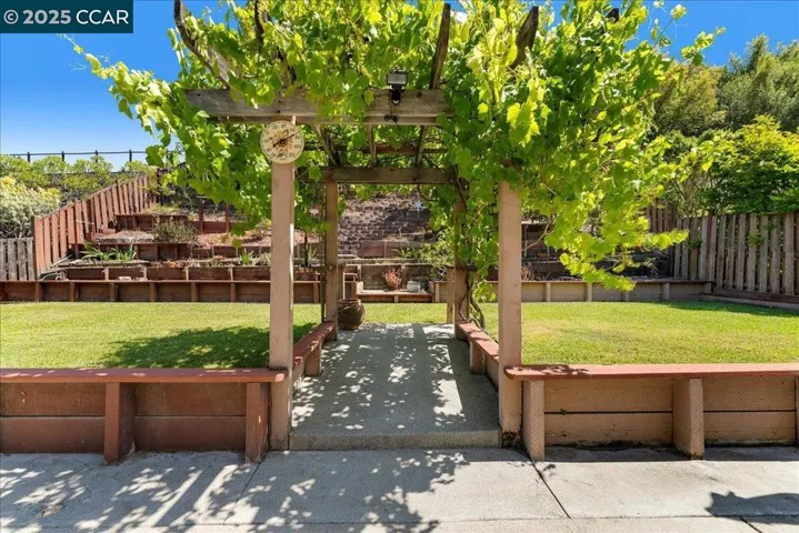 Enjoy fresh loquats, figs, white peaches, lemons, and mandarins grown right in your own backyard
