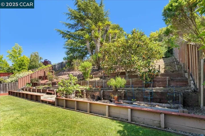 Thoughtfully tiered hillside garden with raised beds and mature fruit trees