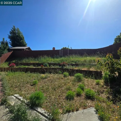 Area for Garden?