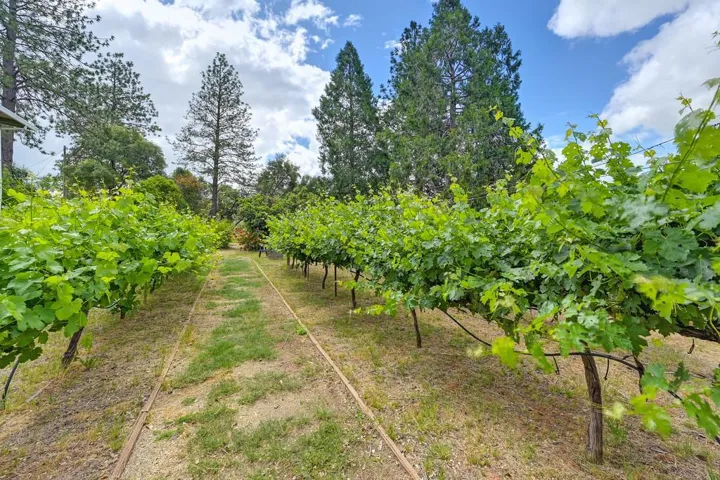 2640 Gayle Lane, Auburn, California 95602
