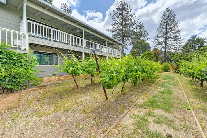 2640 Gayle Lane, Auburn, California 95602