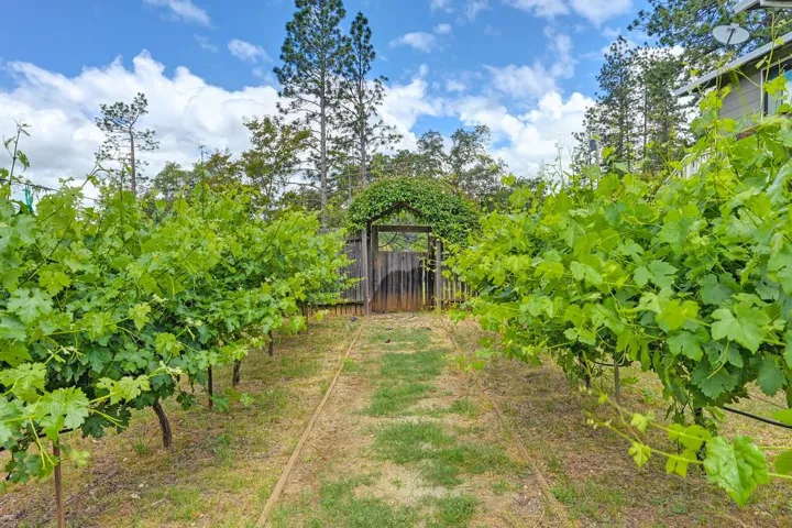 2640 Gayle Lane, Auburn, California 95602