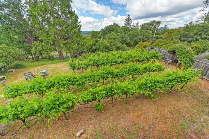 2640 Gayle Lane, Auburn, California 95602