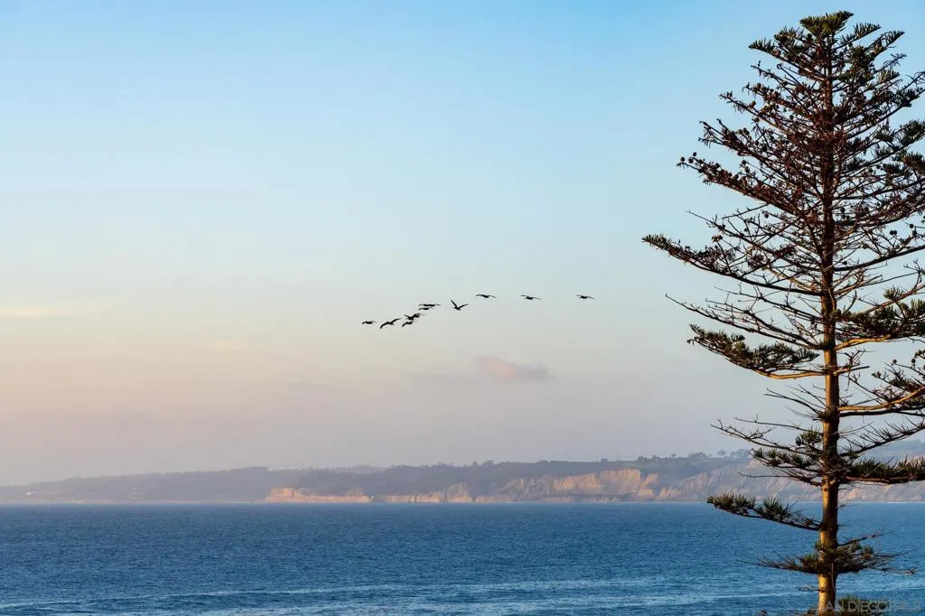 939 Coast Blvd 4a, La Jolla, California 92037 home-pic-18
