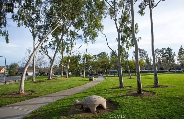 Great space for running, playing and enjoying life!