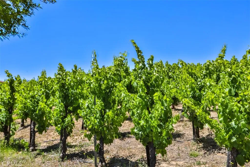 39520 Colleen Way, Temecula, California 92592 home-pic-73