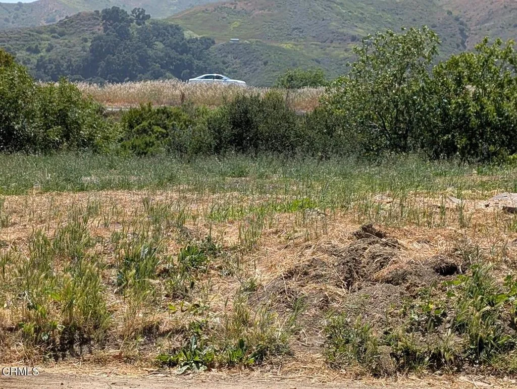 Photo of Lot.1