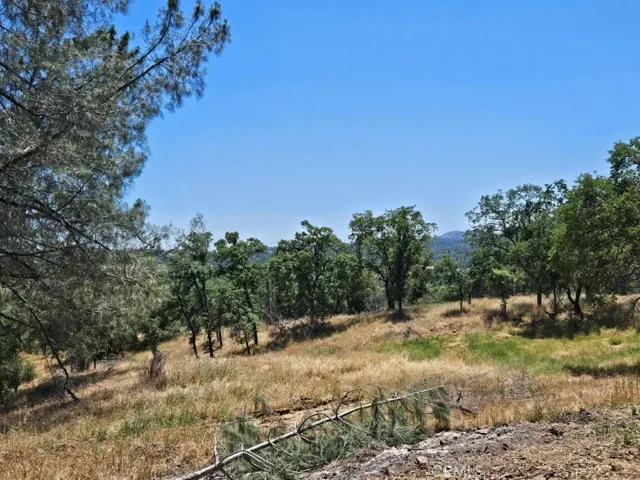 4223 Woodview Lane, Mariposa, California 95338