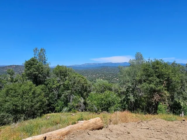 4223 Woodview Lane, Mariposa, California 95338