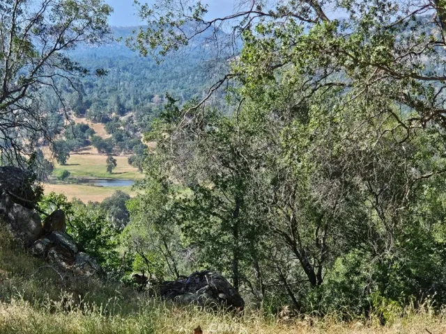 4223 Woodview Lane, Mariposa, California 95338