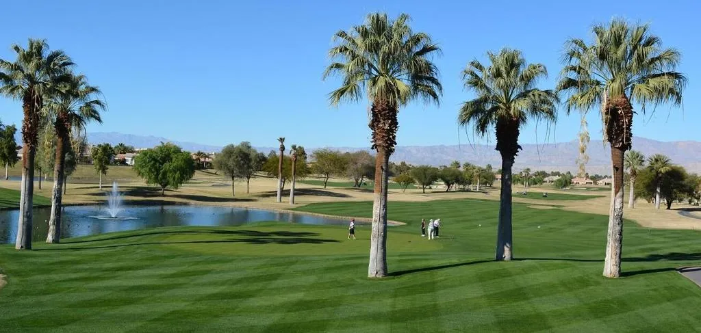 45120 Eagle Crest Court, Indio, California 92201 home-pic-88