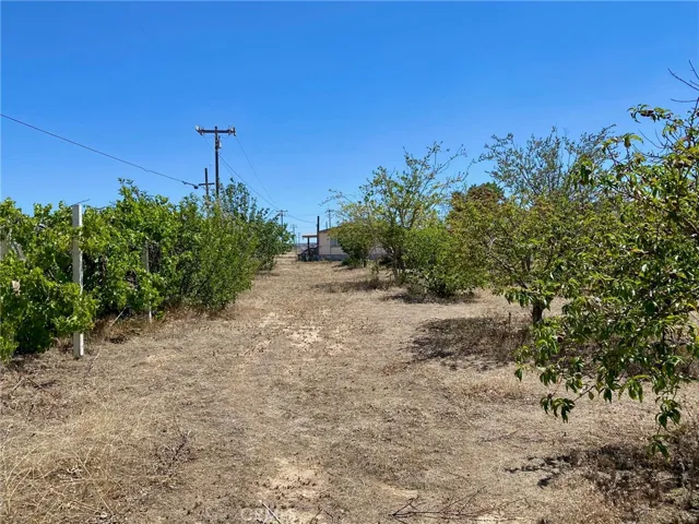 9582 Buttemere Road, Phelan, California 92371