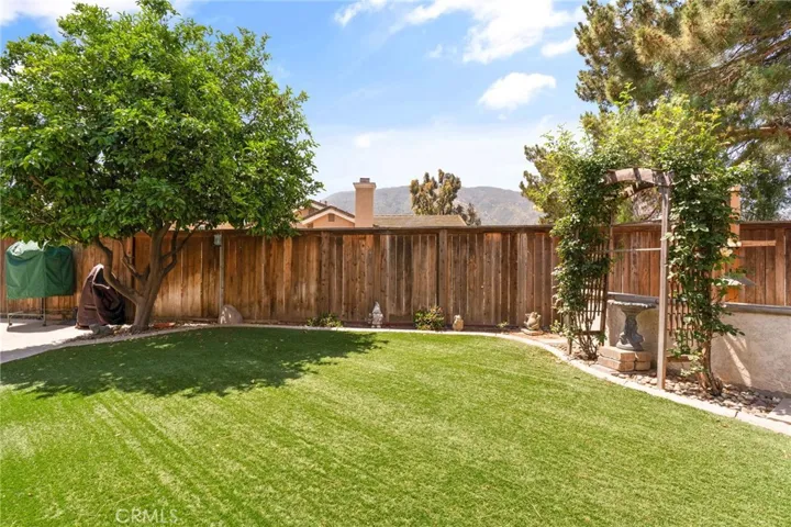 Large backyard with bird santuary.