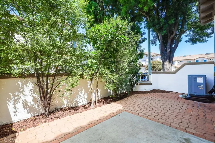 Thriving Apple Tree and Lime Tree on your private patio.