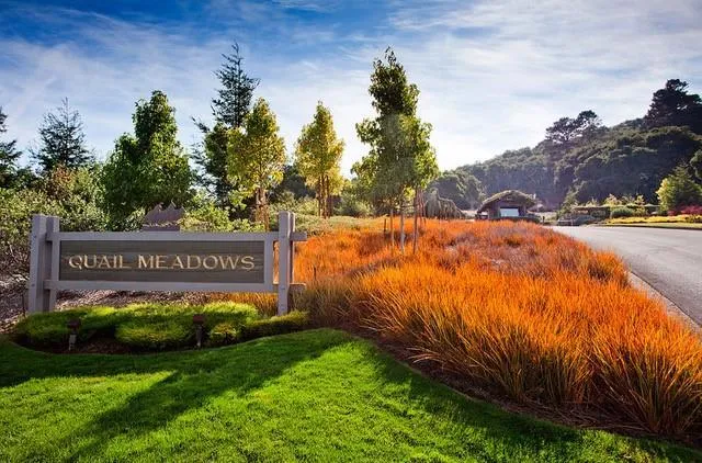 5496 Quail Meadows Drive, Carmel Valley, California 93923 — photo 5