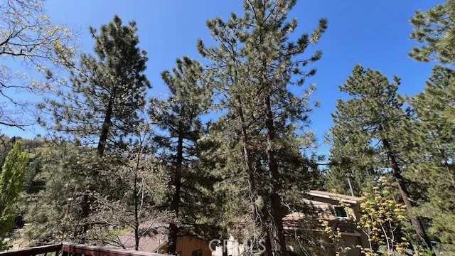 33477 Fern Drive, Green Valley Lake, California 92341 home-pic-51